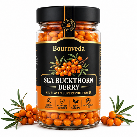 Himalayan Sea Buckthorn Berries Sun Dried | Bournveda